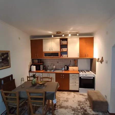 公寓 Royal 弗拉西克