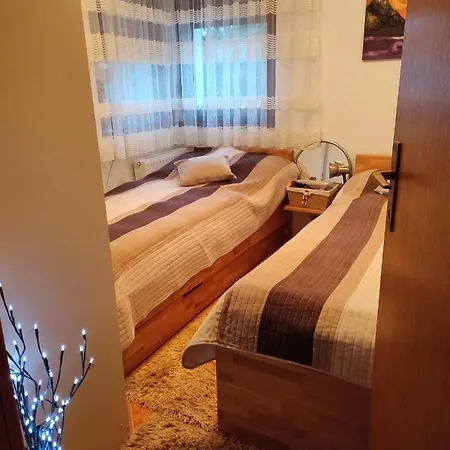 公寓 Royal 弗拉西克