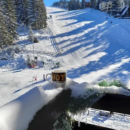 公寓 Royal 弗拉西克