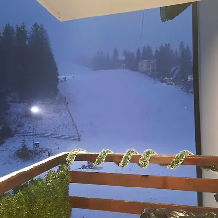 Royal * ヴラシチ