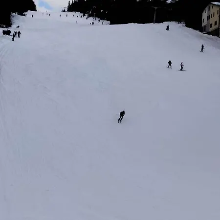 Royal アパート *