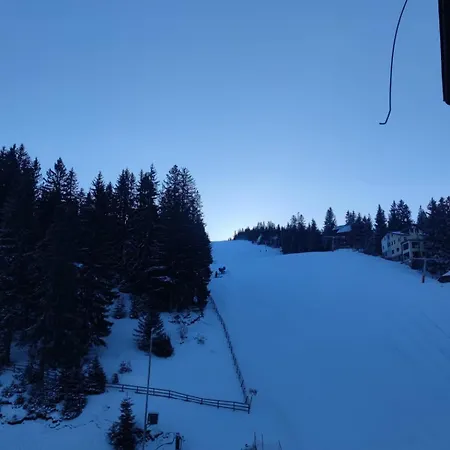 公寓 Royal 弗拉西克